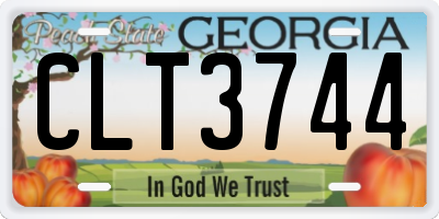GA license plate CLT3744