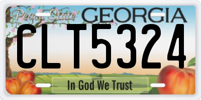 GA license plate CLT5324