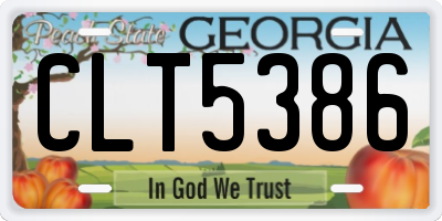 GA license plate CLT5386