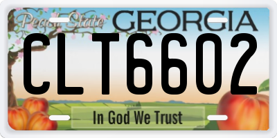 GA license plate CLT6602