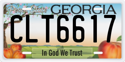 GA license plate CLT6617
