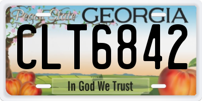 GA license plate CLT6842