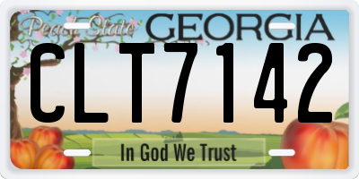 GA license plate CLT7142