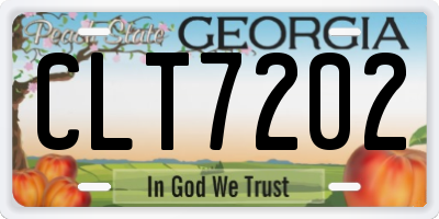GA license plate CLT7202