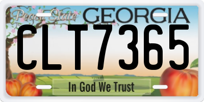GA license plate CLT7365