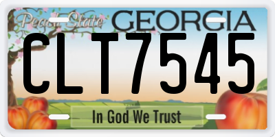 GA license plate CLT7545