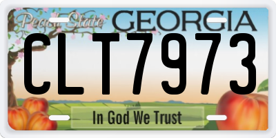 GA license plate CLT7973