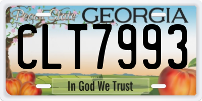 GA license plate CLT7993