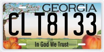 GA license plate CLT8133