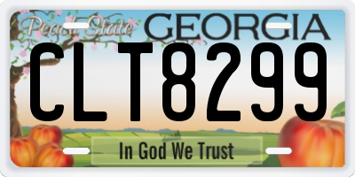 GA license plate CLT8299