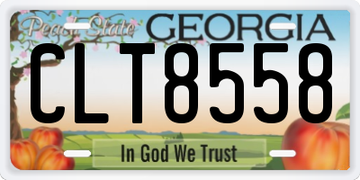 GA license plate CLT8558