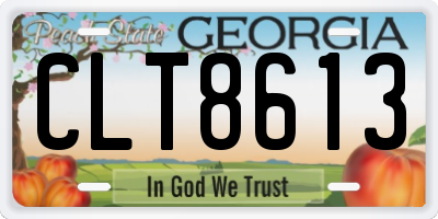 GA license plate CLT8613