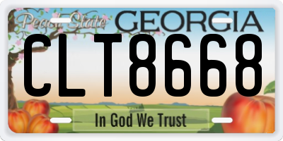 GA license plate CLT8668