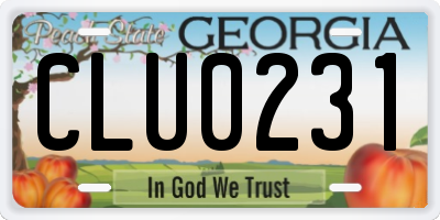 GA license plate CLU0231