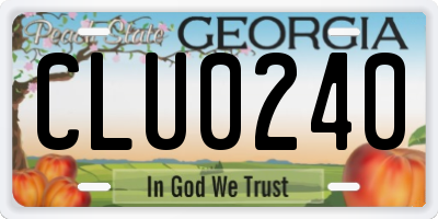 GA license plate CLU0240