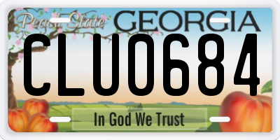GA license plate CLU0684