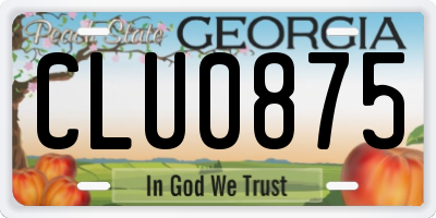 GA license plate CLU0875
