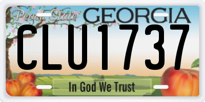 GA license plate CLU1737