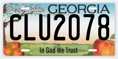 GA license plate CLU2078
