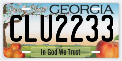 GA license plate CLU2233