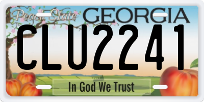 GA license plate CLU2241