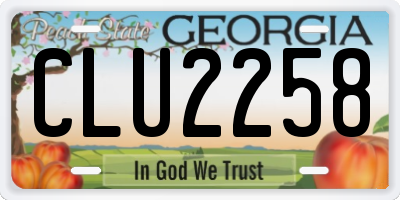 GA license plate CLU2258