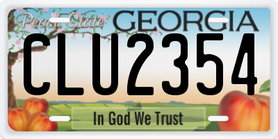 GA license plate CLU2354
