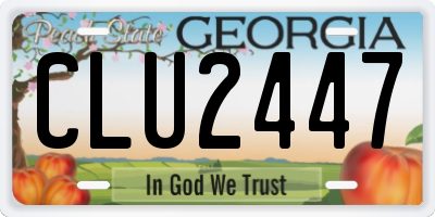 GA license plate CLU2447