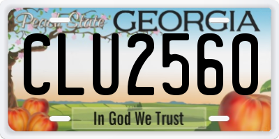 GA license plate CLU2560