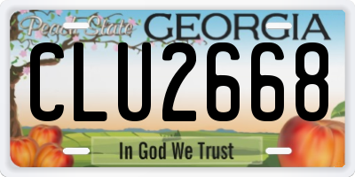 GA license plate CLU2668