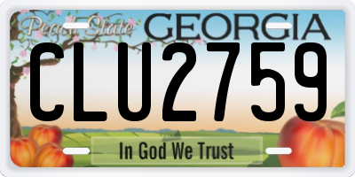 GA license plate CLU2759