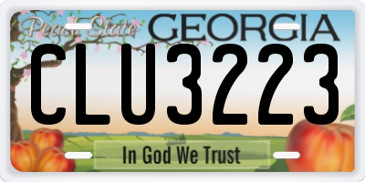 GA license plate CLU3223