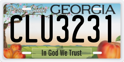 GA license plate CLU3231