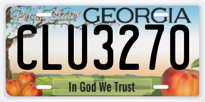 GA license plate CLU3270