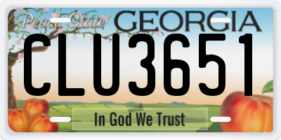 GA license plate CLU3651