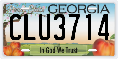 GA license plate CLU3714