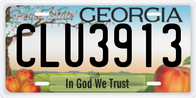 GA license plate CLU3913
