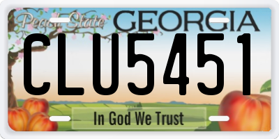 GA license plate CLU5451