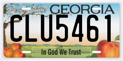 GA license plate CLU5461
