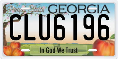 GA license plate CLU6196