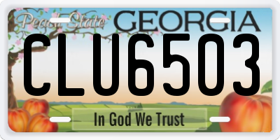 GA license plate CLU6503