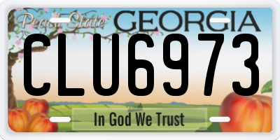 GA license plate CLU6973