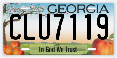 GA license plate CLU7119