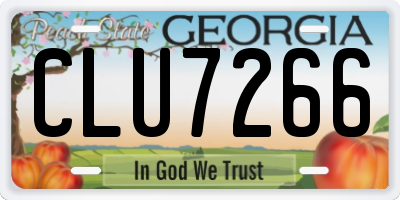 GA license plate CLU7266