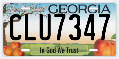 GA license plate CLU7347