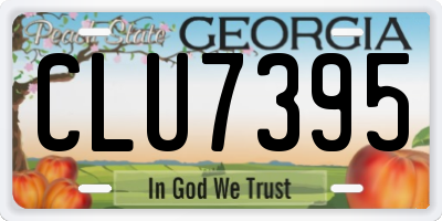 GA license plate CLU7395