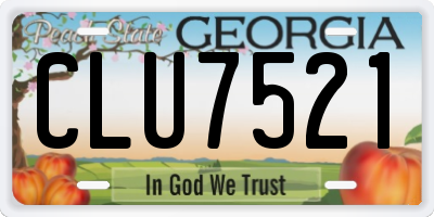GA license plate CLU7521