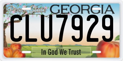 GA license plate CLU7929