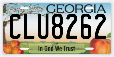 GA license plate CLU8262