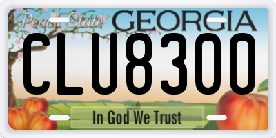 GA license plate CLU8300